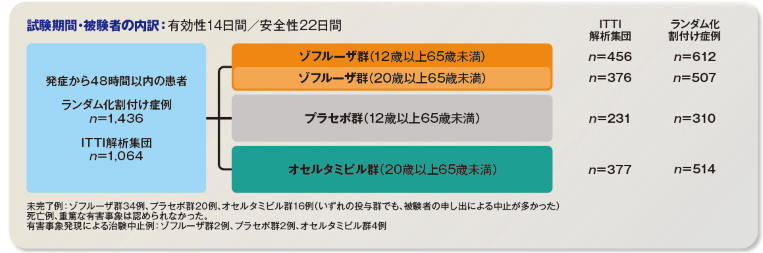 試験概要