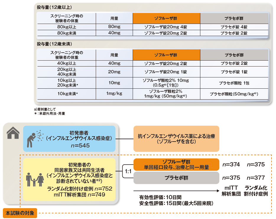 試験概要の図