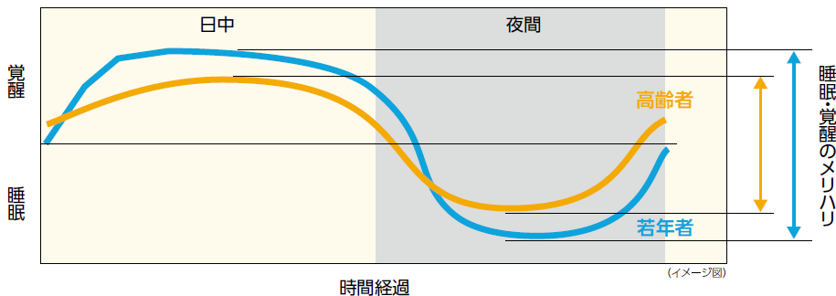 加齢に伴う睡眠・覚醒（昼夜）のメリハリの変化1,3)